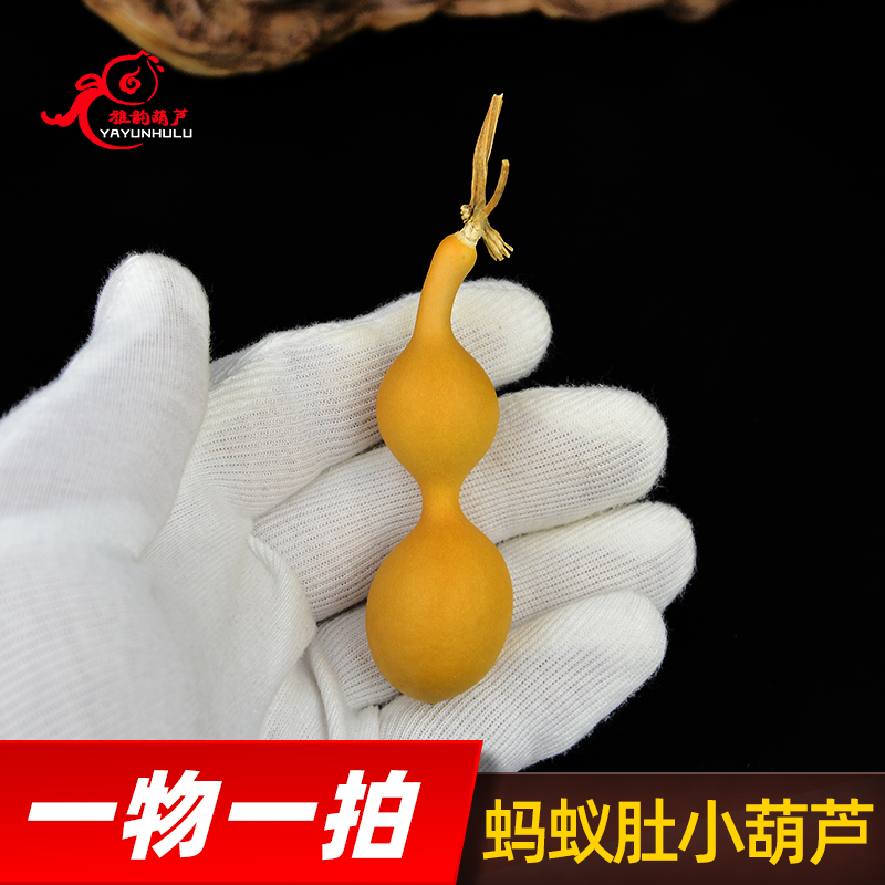 文玩带龙头精品天然葫芦