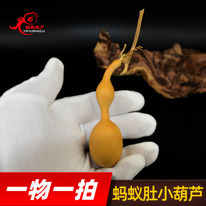 天津嘴一物一图文玩天然葫芦