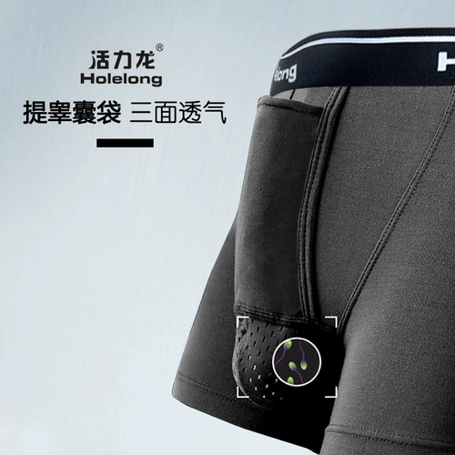 Драконки Дракона в Vitality отделяется от мужских ружков нижнего белья, мошонки -мошонки, карманов, четырехугольников, одной комнаты, одной зал, дышащей и влажности