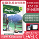英文原版 中学 教材 练习册Level 美国ESL综合初中 CEFR KEYSTONE 朗文培生英文原版 学生书配套练习 NEW Workbook