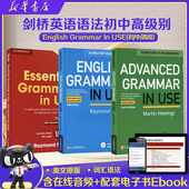 进口剑桥大学出版 grammar 社英语语法书Essential 原版 初级实用小学初中高中英语语法词汇手册自学教材书籍 Grammar Use use