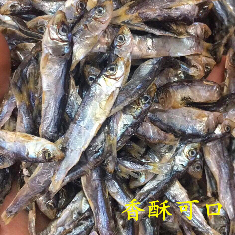 柳叶鱼shishamo价格 柳叶鱼shishamo图片 星期三 柳叶鱼shishamo价格 柳叶鱼shishamo图片 星期三