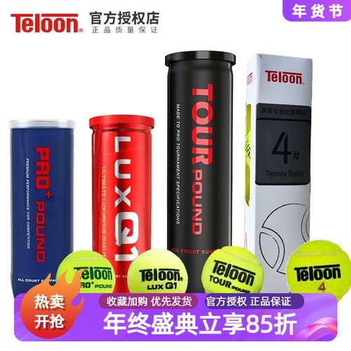 Teloon天龙专业罐装成人比赛网球