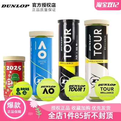 国际大牌Dunlop比赛网球TOUR加亮