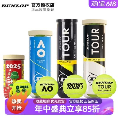 国际大牌Dunlop比赛网球TOUR加亮