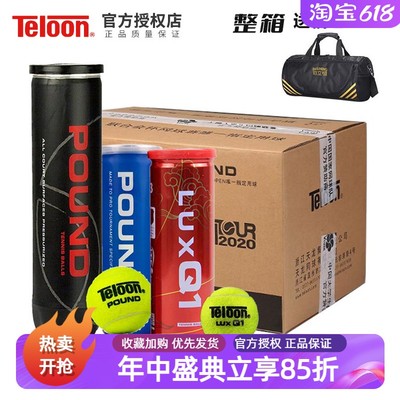 天龙专业比赛网球高弹耐打