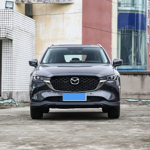 适用马自达汽车水箱防护网CX-5昂克赛拉CX-4中网防虫防柳絮挡棉絮