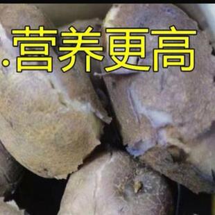 大山包小黑洋芋紫皮土豆新鲜转转乌洋芋马铃薯口感粉糯今年现挖