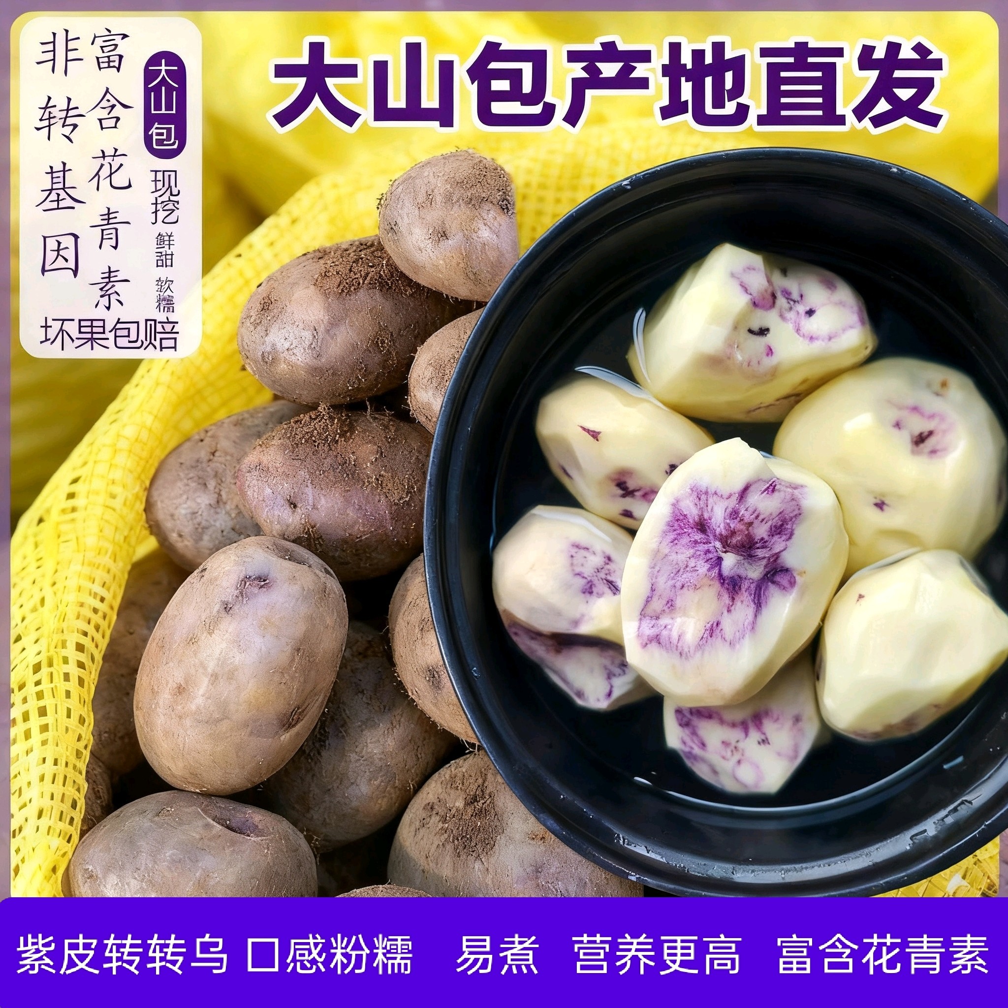 大山包转转乌洋芋新鲜现挖口感粉糯香甜紫皮土豆七彩土豆产地直发