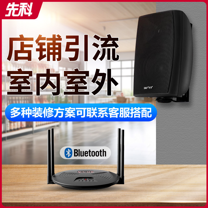 先科室内壁挂式音响无线蓝牙音箱店铺专用挂墙重低音餐厅超市商用