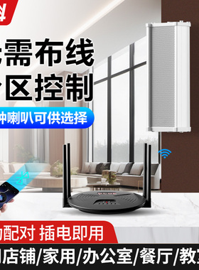 先科无线蓝牙吸顶音响分区商用店铺家用套装嵌入式喇叭吸顶式音箱