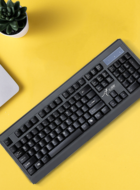 小袋鼠DS-2605商务办公 游戏 家用有线时尚版单键盘 黑色 USB