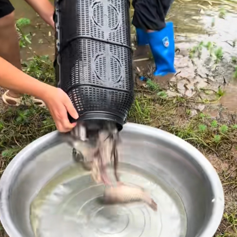 2025新型鱼笼超大号大进口捕鱼笼双口倒须诱鱼网笼鳝鱼虾笼泥鳅笼