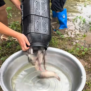 2025新型鱼笼超大号大进口捕鱼笼双口倒须诱鱼网笼鳝鱼虾笼泥鳅笼