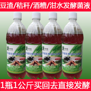 益加益生物饲料发酵菌液豆渣豆腐渣玉米秸秆青草泔水啤酒糟喂牛羊