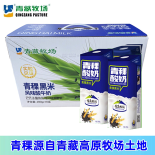 青海青藏特产 青藏牧场康美包百年酸奶黑米青稞藏式酸奶200g*10盒