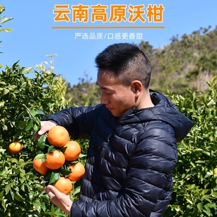 小陈严选/云南高原沃柑现摘自然熟新鲜孕妇水果柑橘桔子8斤礼盒装