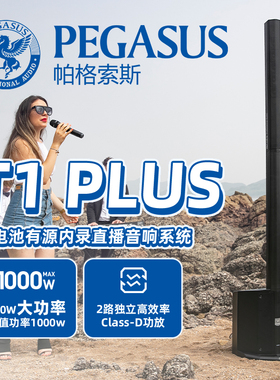 帕格索斯T1plus有源阵列扩声系统带6路调音台功能黑色Pegasus