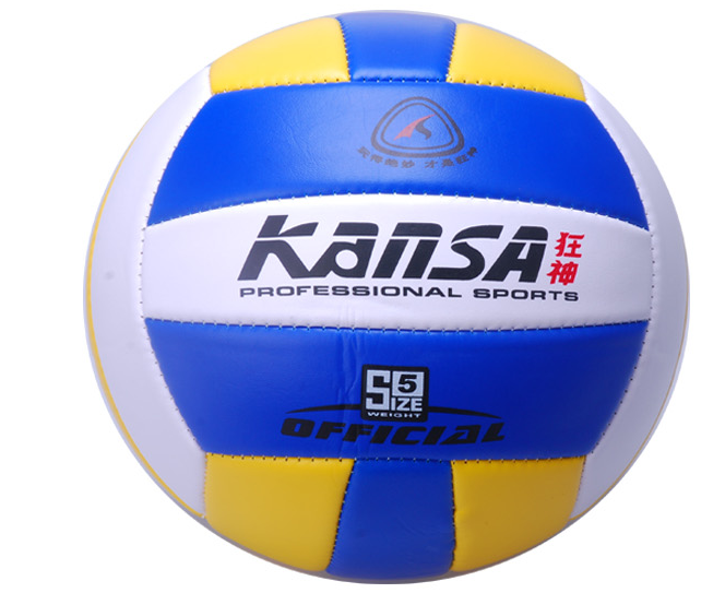 Ballon de volley - Ref 2012508 Image 1