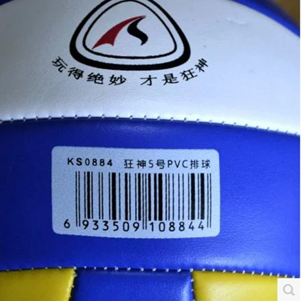 Ballon de volley - Ref 2012508 Image 5