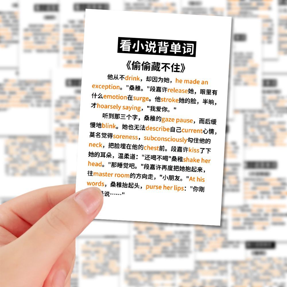 100张趣味看小说背单词贴纸阅读英语单词歹毒记忆diy笔记本手机