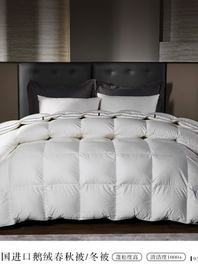 LANSIU/蓝丝羽德国进口95白鹅绒保暖蓬松大朵绒提花冬被春秋被