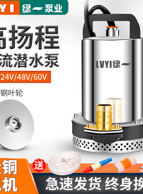 绿一农用48V直流潜水泵12V48V60V高扬程电动车家用抽水泵 水泵
