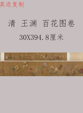 清王渊百花图卷古代国画真迹复古书画微喷仿古复制临摹装饰画