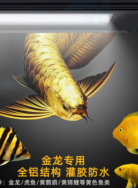 全光谱LED黄白混合光金龙鱼虎鱼黄色鹦鹉黄色锦鲤水陆两用鱼缸灯