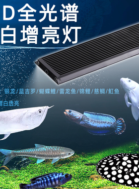 全光谱蓝白混合光银龙雷龙三湖慈鲷蝴蝶鲤专用观赏水陆两用鱼缸灯