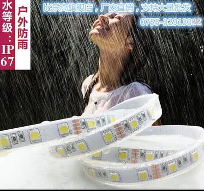 24v室外防雨鱼缸灯带