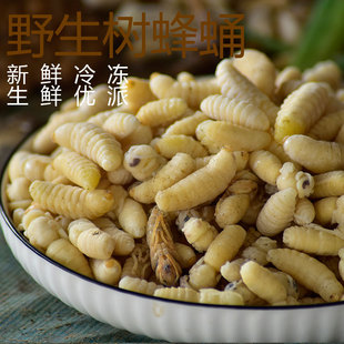 生马蜂蛹新鲜冷冻 地蜂蛹马蜂蛹油炸散装500克河南南阳