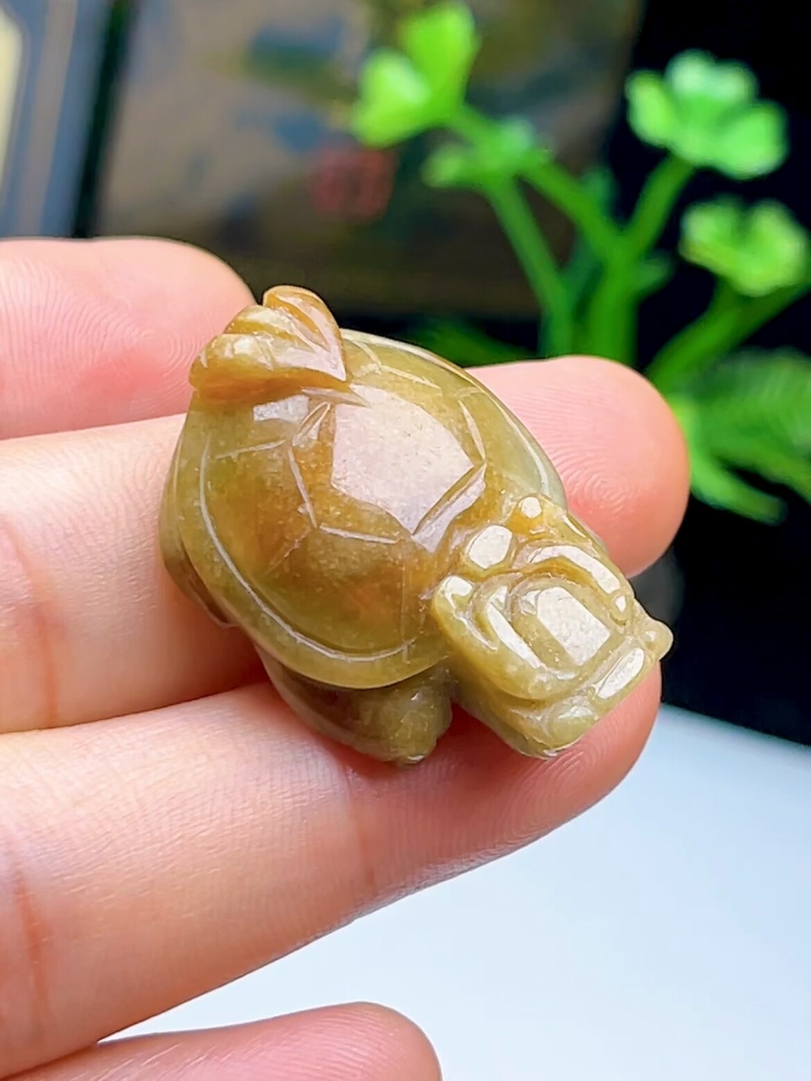 缅甸料a货巧色双彩龙头龟吊坠 天然翡翠玉石福寿龟挂件 龙龟玉坠