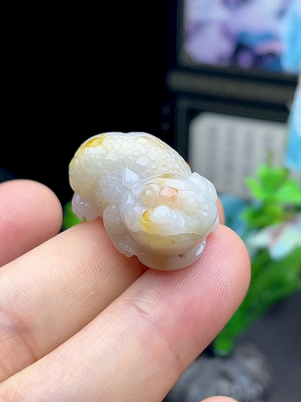 缅甸料老坑冰底黄翡翠金蟾吊坠  天然a货三脚蟾玉坠招财玉石挂件