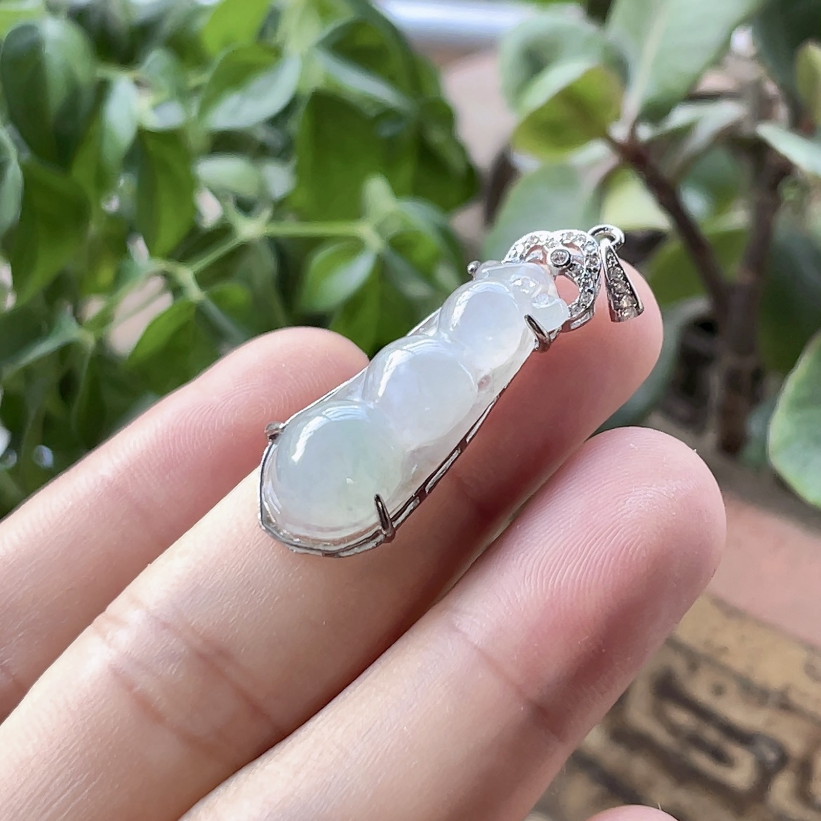 冰种翡翠四季豆吊坠缅甸天然玉石