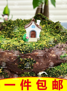 草坪孤岛微景观蛋糕装饰摆件石块屋甜品装扮烘焙配件男士男神生日