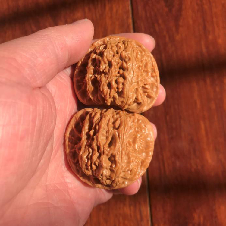 45mm大白狮子头一物一图文玩把件麻核桃平打底三角闷白圆润送礼佳