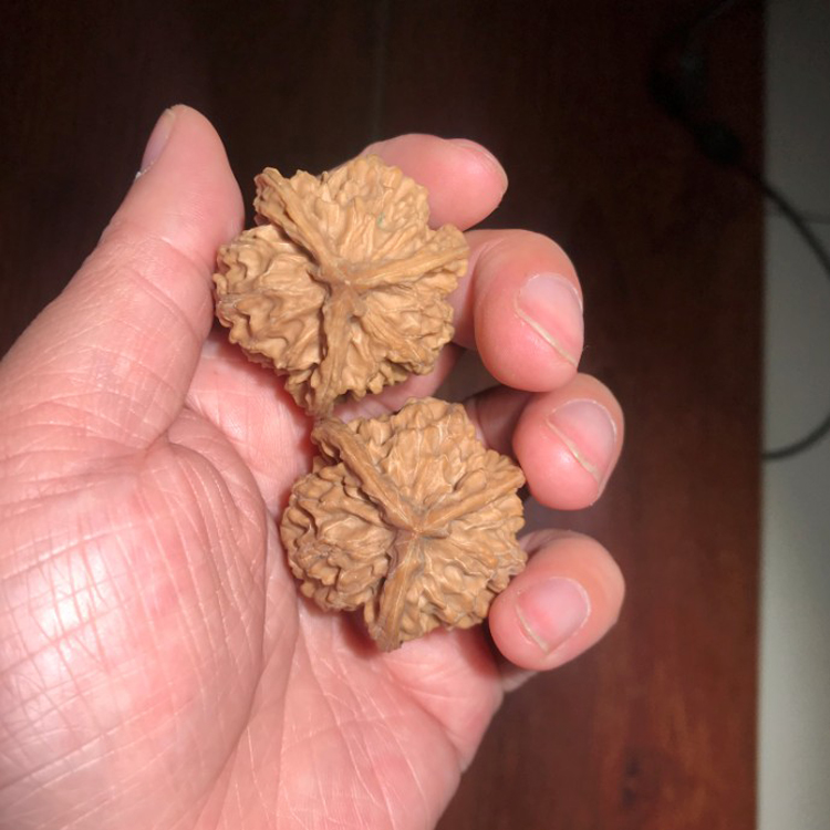 文古斋文玩核桃异型三棱正奔天然