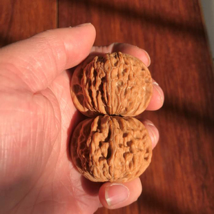 40mm正磨盘狮子头文玩把件红皮麻核桃精选老树平底大送礼野生圆润