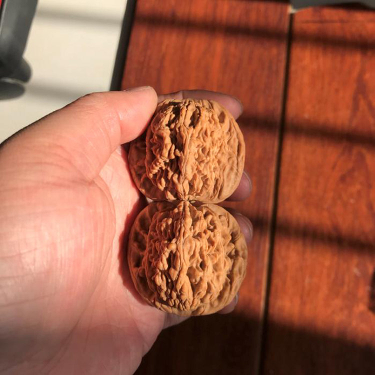 45mm精选一物一图麦穗虎头文玩把件麻核桃平底型正压手自然健全品,饰品/流行首饰/时尚饰品新,手把件/把玩物,淘宝优惠券,粉丝福利购,淘宝优惠卷