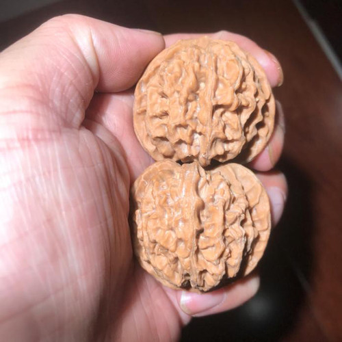 一物一图42mm野生山地果自然桩苹果园狮子头文玩把件麻核桃老树大