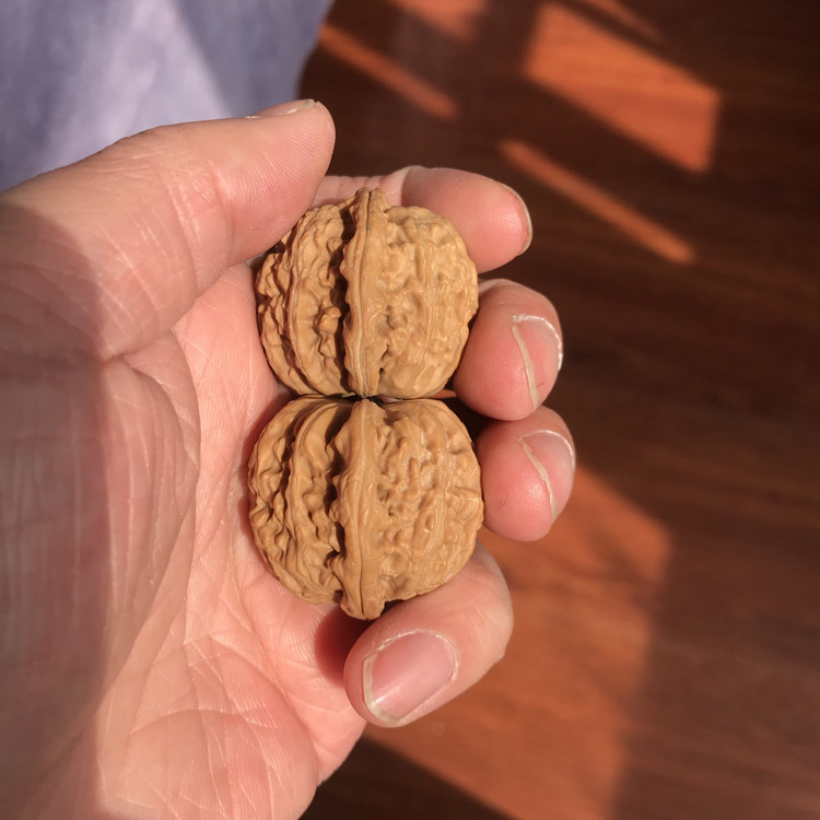 34mm三角白狮子头手捻文玩把件麻核桃精选老树野生小麻核桃女士玩
