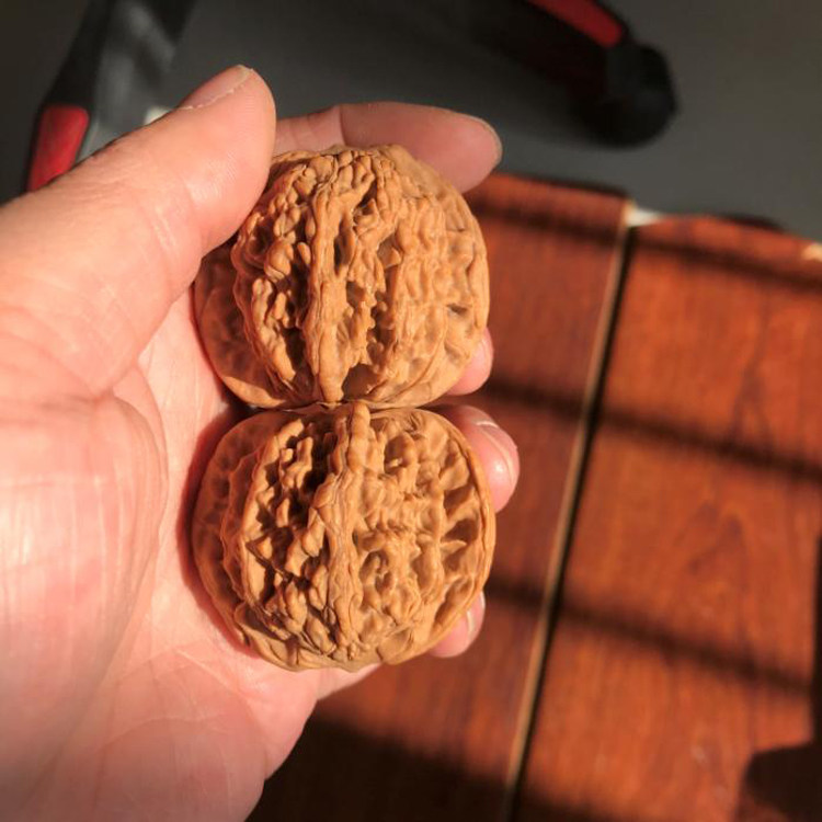 矮桩45mm麦穗虎头文玩把件麻核桃压手老树送礼健身平底经典狮子头,饰品/流行首饰/时尚饰品新,手把件/把玩物,淘宝优惠券,粉丝福利购,淘宝优惠卷