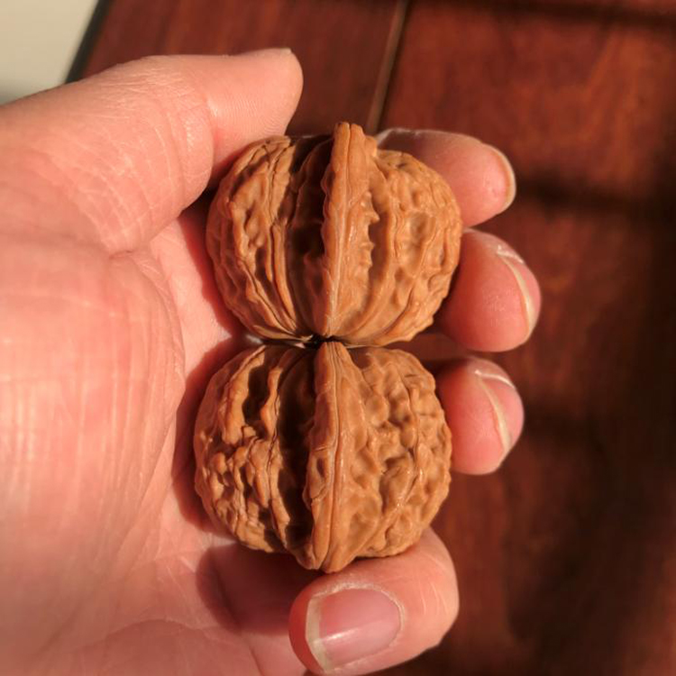 40mm磨盘狮子头文玩把件麻核桃精选老树压手圆润送礼保健大肚野生
