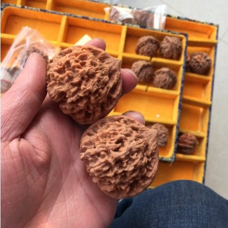 3号涞水麻核桃文玩把玩46mm麒麟纹王勇官帽手把件自然桩压手厚实