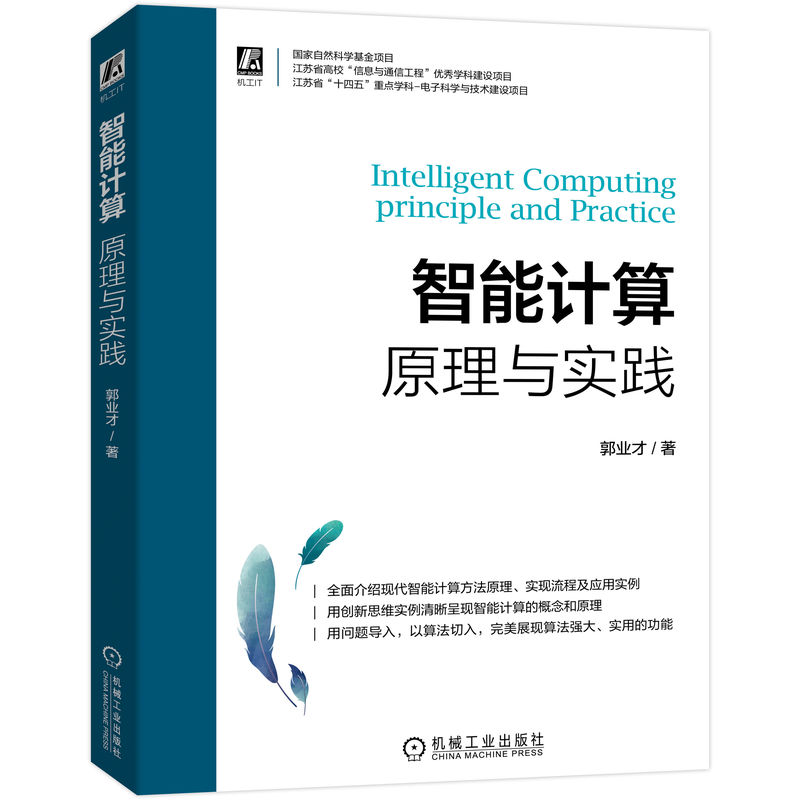 当当网 智能计算：原理与实践 计算机网络 计算机控制仿真与人工智能 机械工业出版社 正版书籍