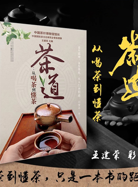 当当网 茶道 从喝茶到懂茶（彩图版）中国茶道茶经 茶艺从入门到精通 中国茶文化大全入门 600幅精美清晰大图 普洱茶经陆羽茶宝典