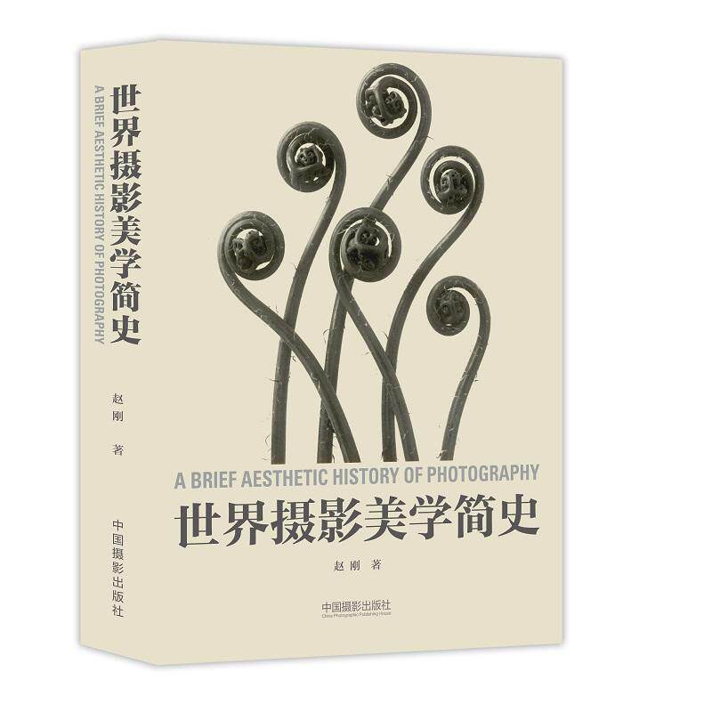 世界摄影美学简史属于什么档次？