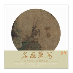 名画摹写——宋人花鸟 葡萄草虫图