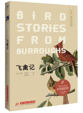 飞禽记（博物图鉴版）